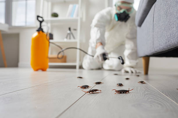 Trusted Fumigation Services service in Sulphur Springs, TX - Nex Pest Control