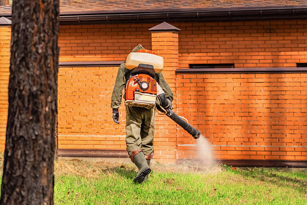 Trusted Termite Control service in Sulphur Springs, TX - Nex Pest Control